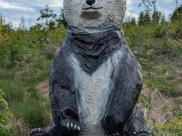 pxl_20250520_172646783